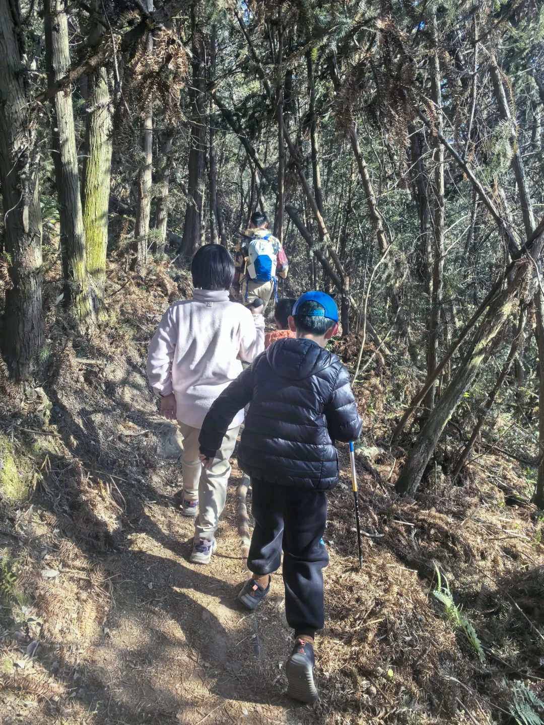 难度系数超低的亲子户外行动|旺山徒步2025