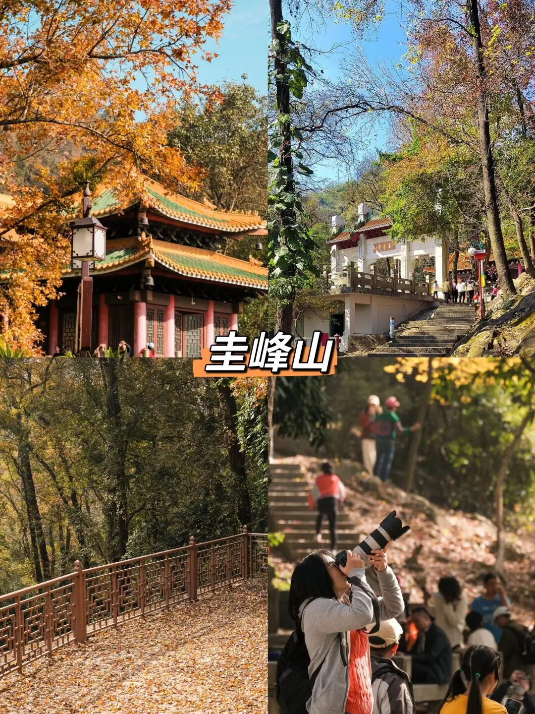 江门必打卡九大景点🔥‼️附旅游攻略