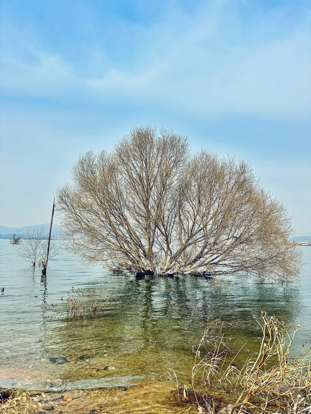 石家庄🚗1h直达🆓的“小洱海”！有韩剧內味了