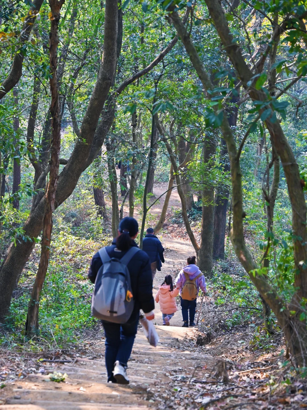 没想到！宁波0.5h藏着一条绝美山水徒步路线
