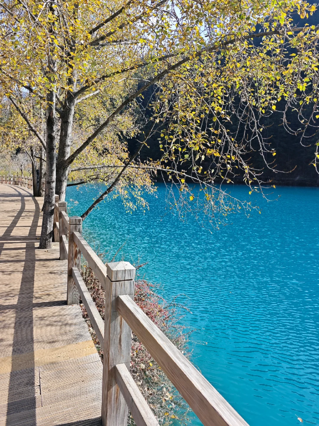 成都5天玩遍周边所有精华景点