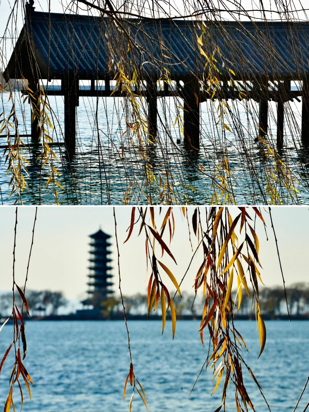 骗你去——河北邯郸2024.12.22