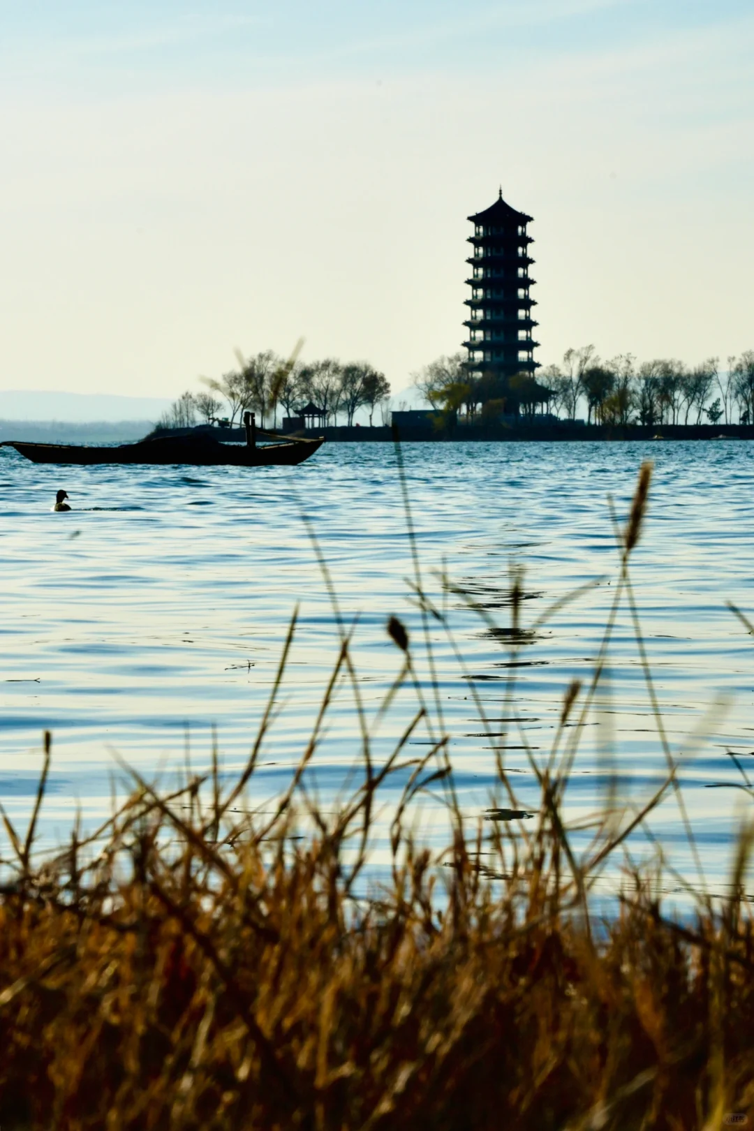 骗你去——河北邯郸2024.12.22