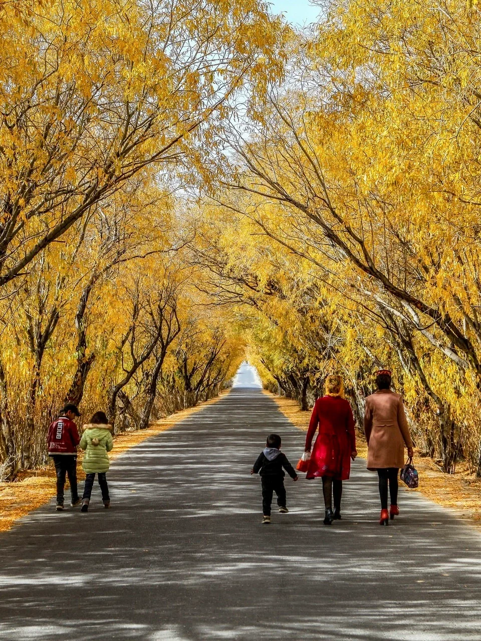 喀什塔县的景区密度高的超出想象，超细攻略
