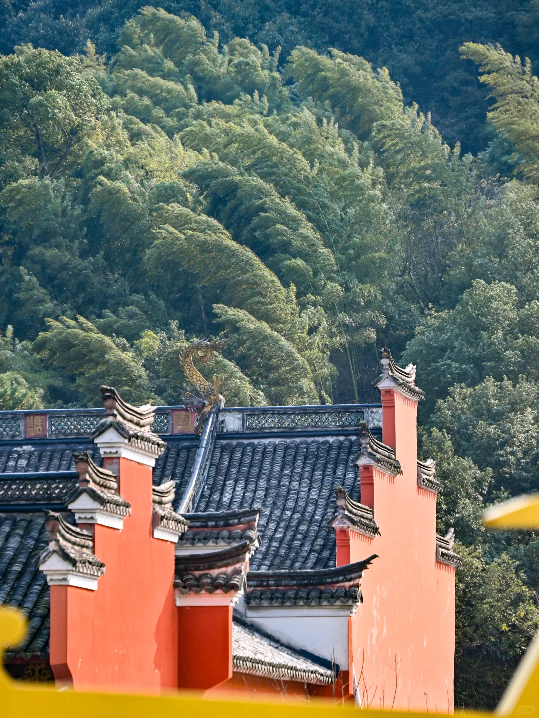 没想到！宁波0.5h藏着一条绝美山水徒步路线