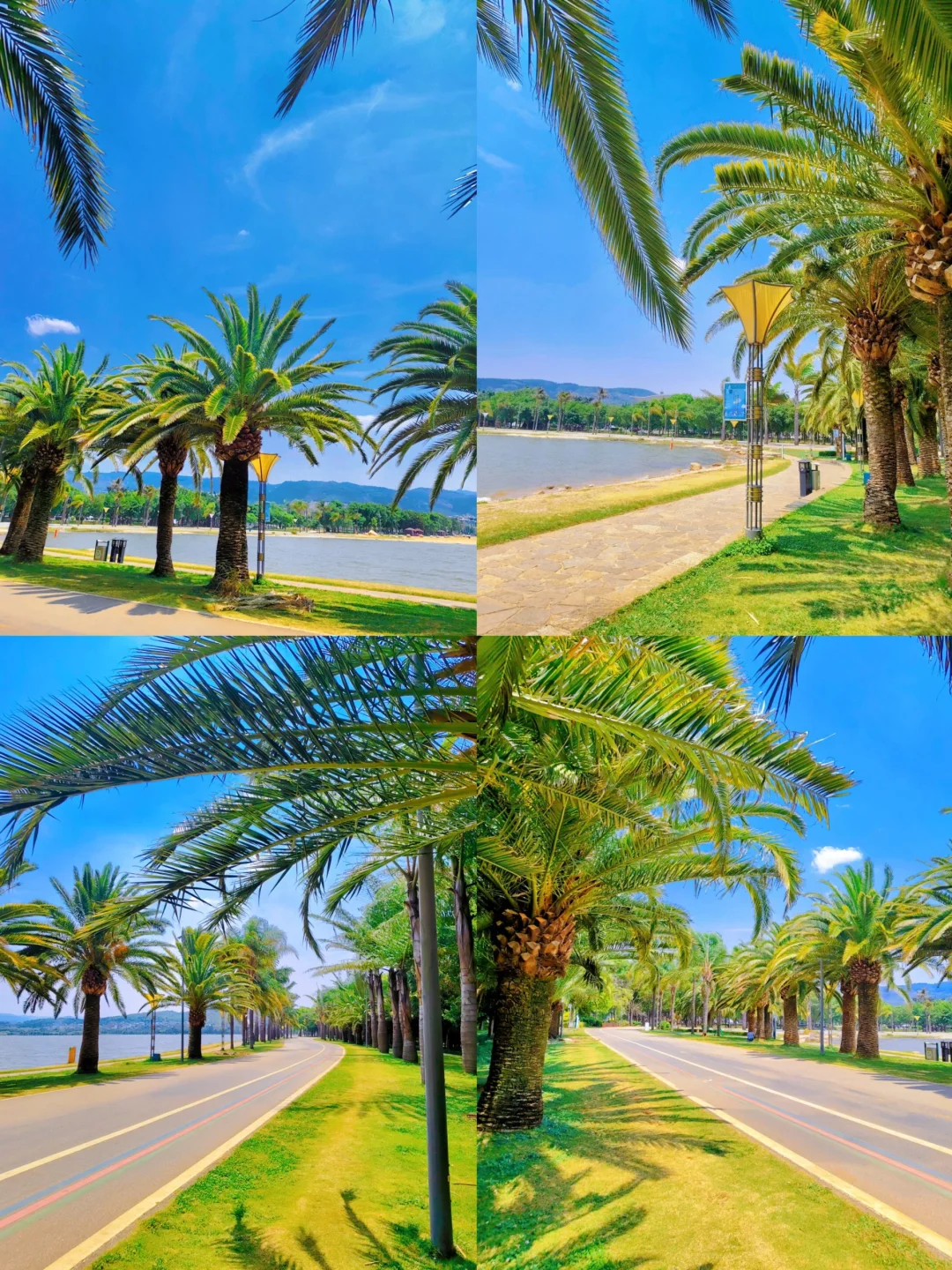 🌈弥勒| 12-2月冬季避寒旅行的宝地！