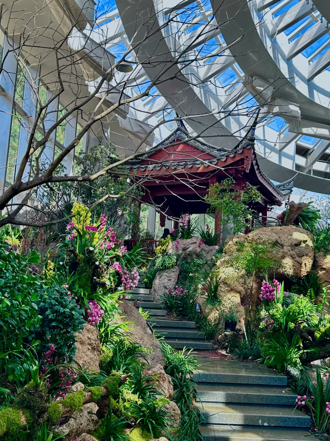 福州三江口植物园实况live㊙️游玩指南📸机位