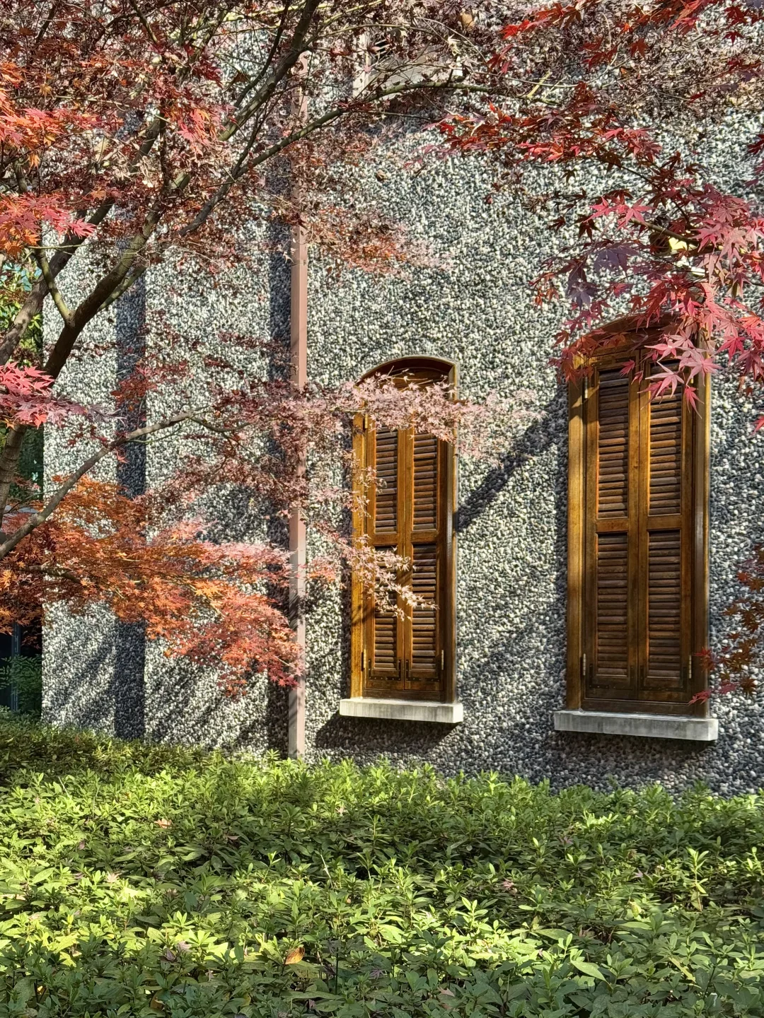 上海最难约的博物馆？！藏在老洋房里