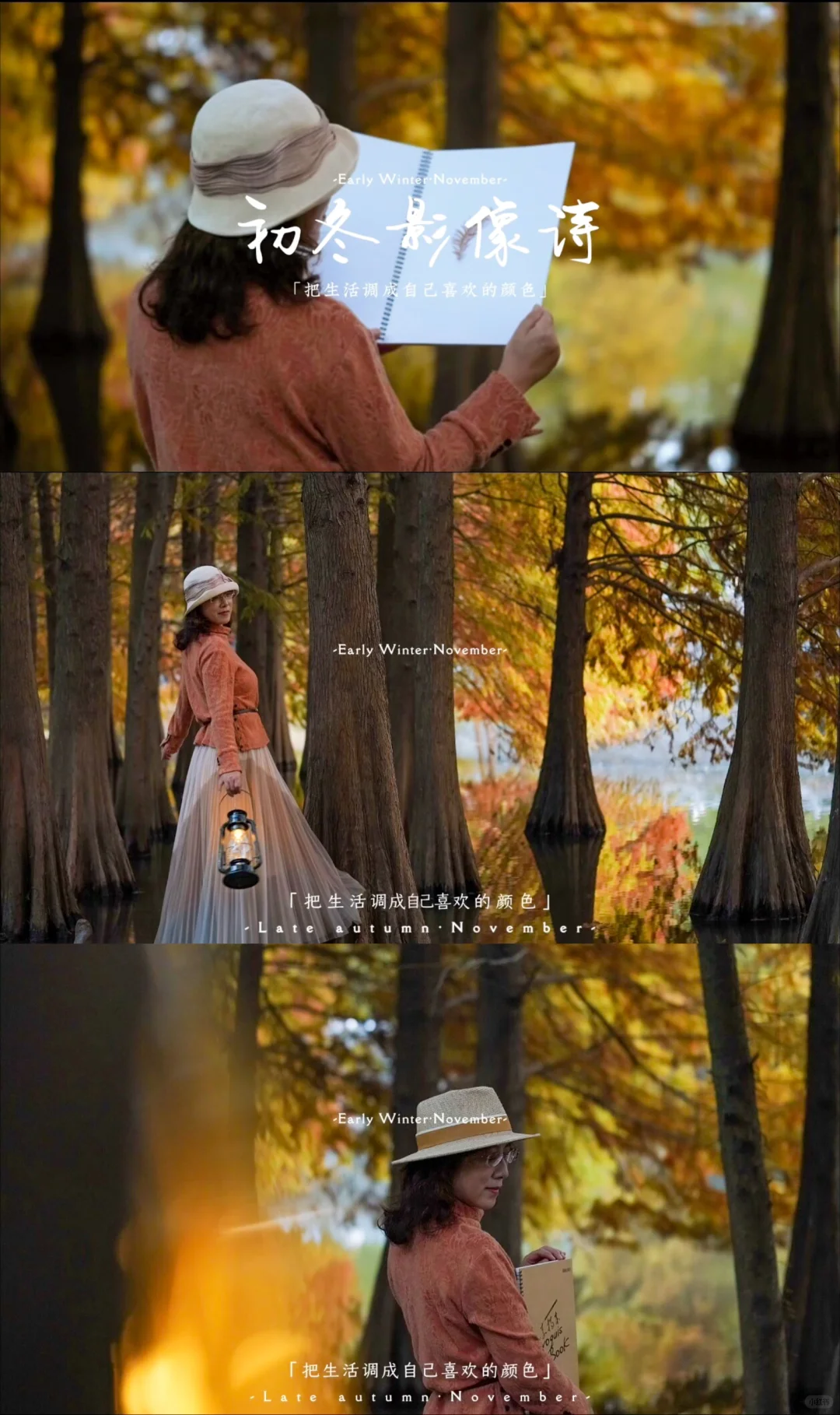 📸🌲🍂✨ 【 明孝陵燕雀湖·落羽杉 】