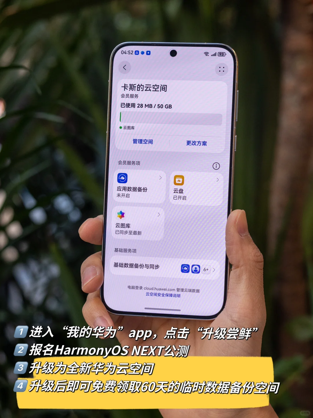 我宣布！没有一个城市比南京更懂得秋天‼️