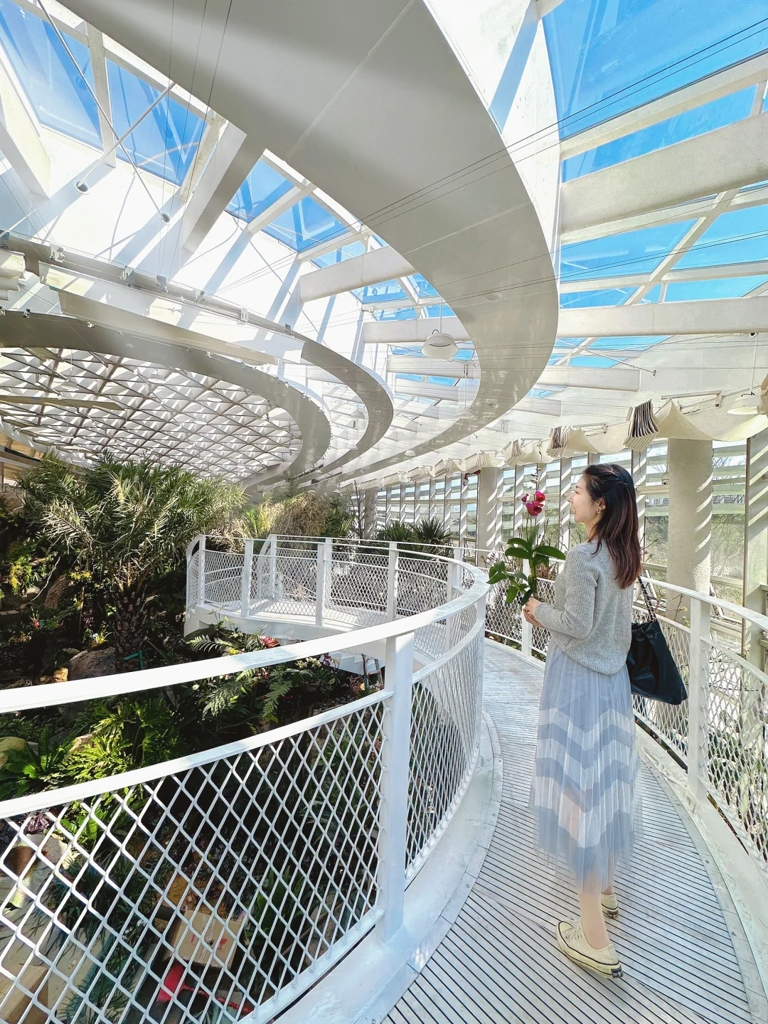 福州三江口植物园实况live㊙️游玩指南📸机位