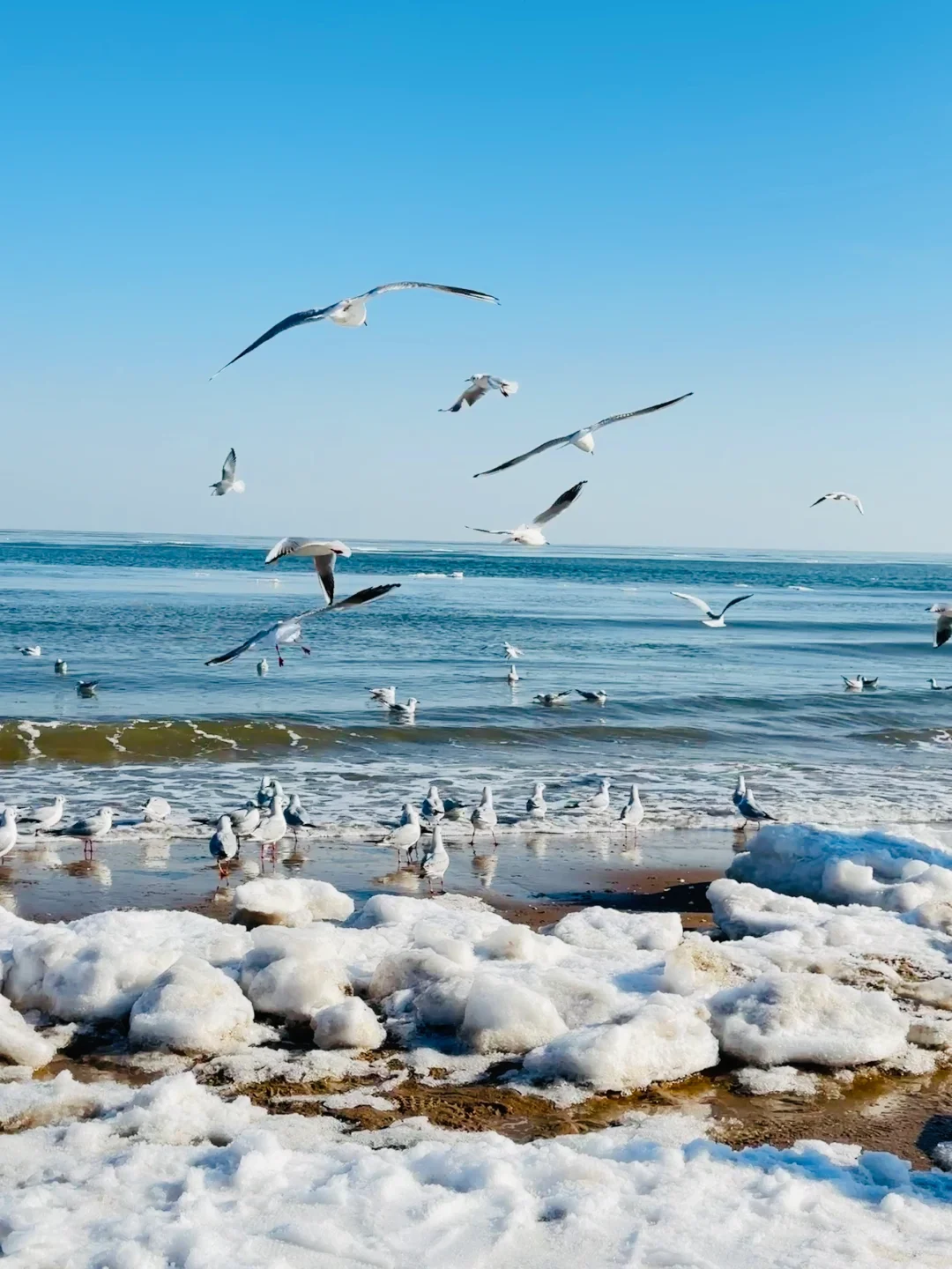 为了这𝟏𝟖张𝐥𝐢𝐯𝐞图我去了趟秦皇岛🌊