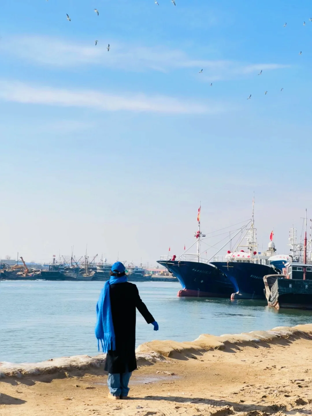 为了这𝟏𝟖张𝐥𝐢𝐯𝐞图我去了趟秦皇岛🌊