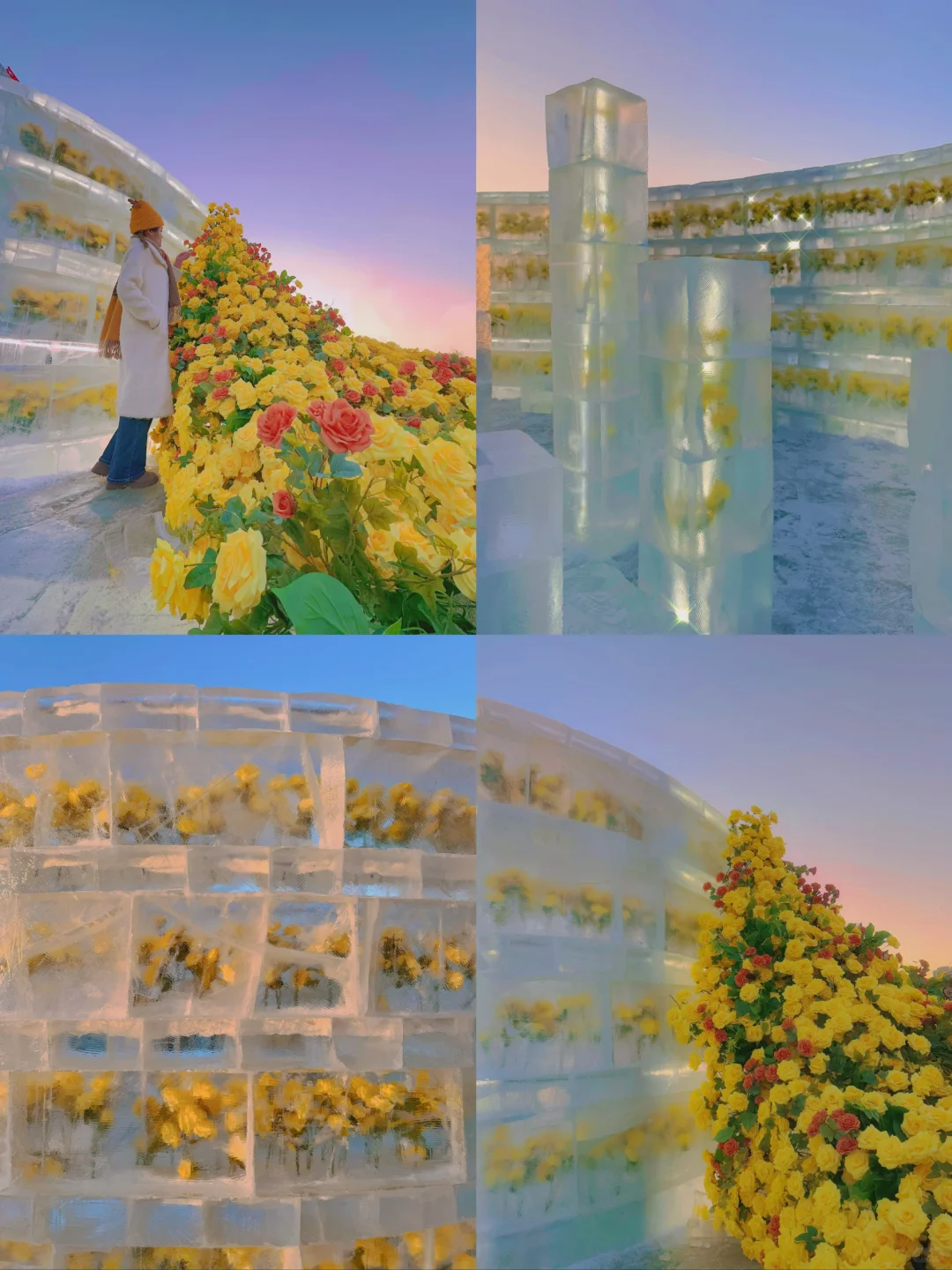 刚从哈尔滨回😭对自己的攻略满意的睡不着