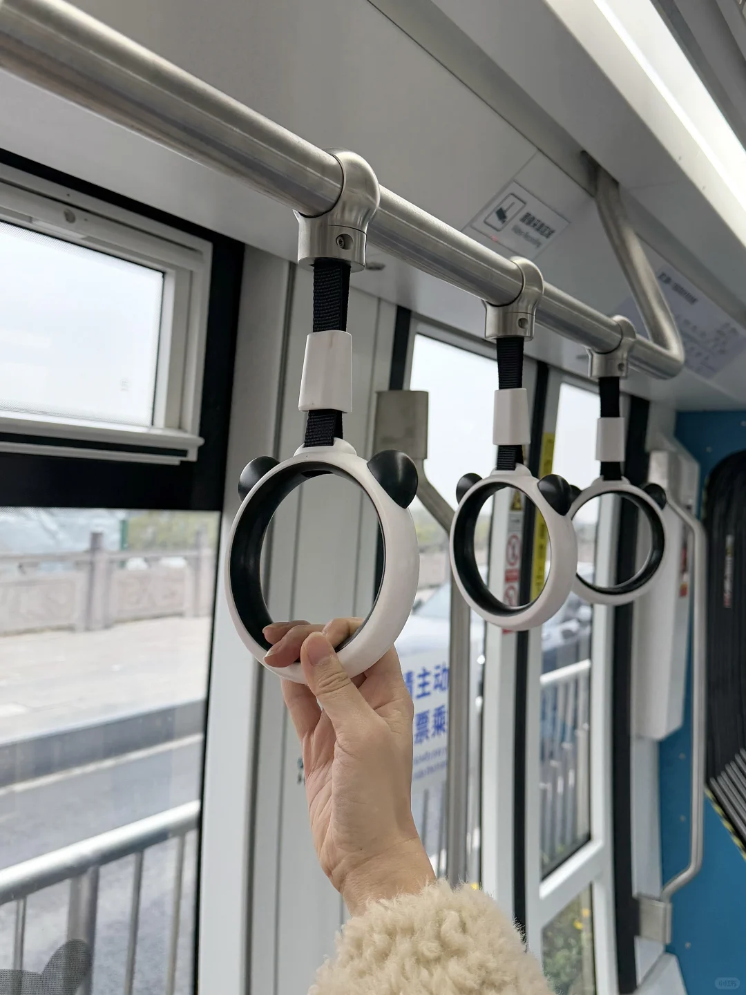 四川！都江堰！熊猫🐼电车🚇，10r直达富士山⛰️