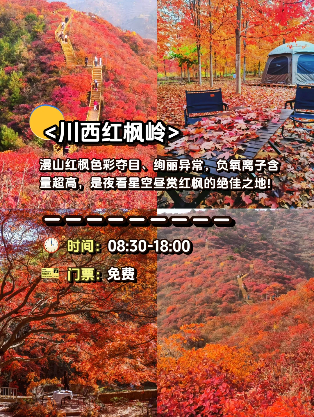 🌟德阳旅游攻略|这 1️⃣2️⃣个景点一定要去‼️