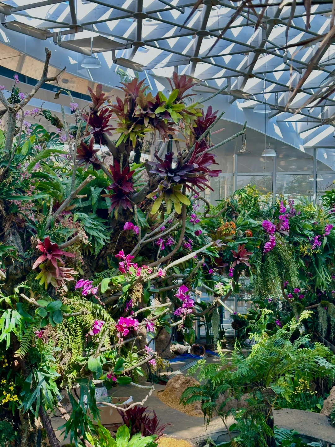 福州三江口植物园实况live㊙️游玩指南📸机位