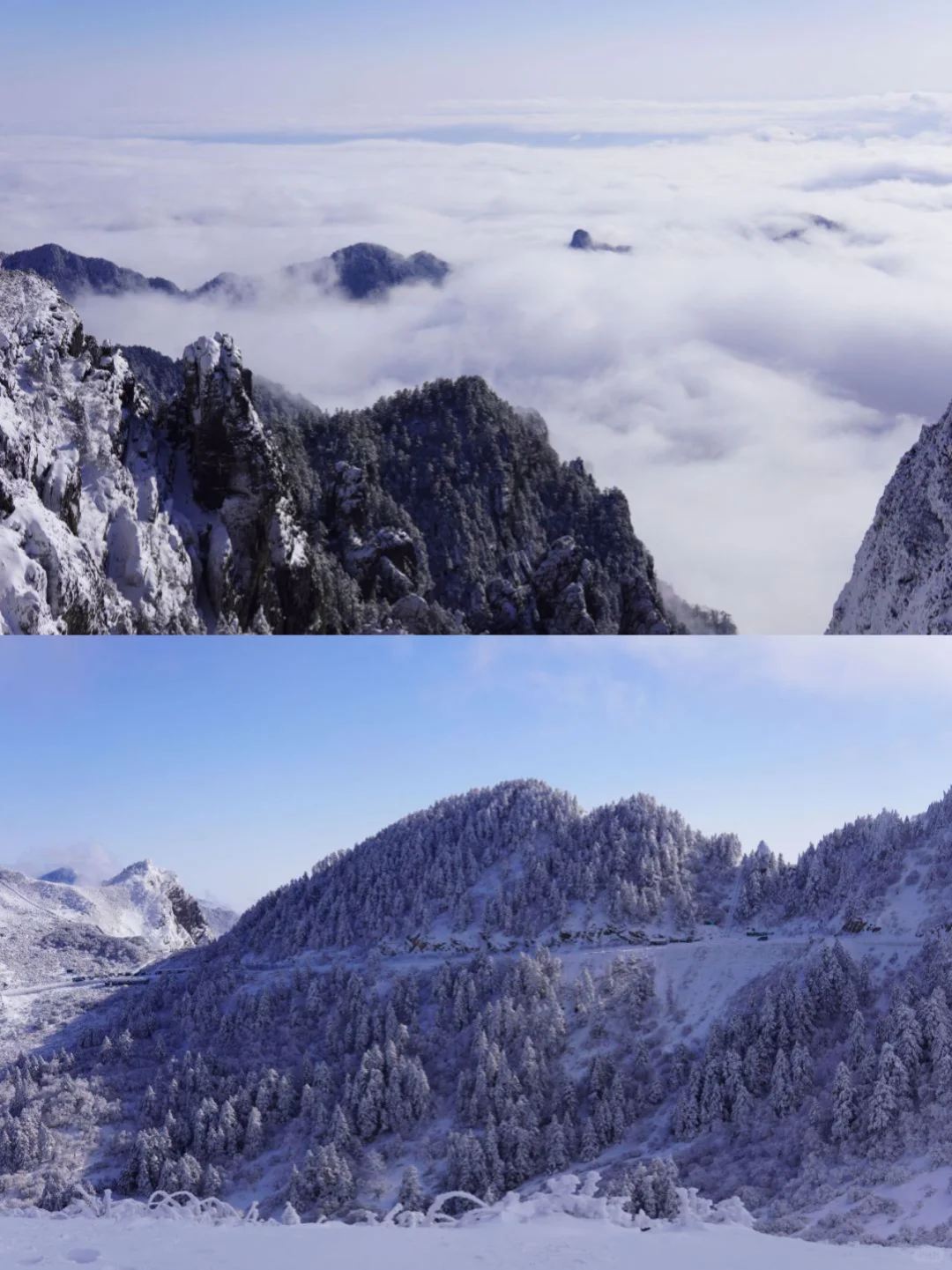 去过神农架8次，掏心窝子说点大实话