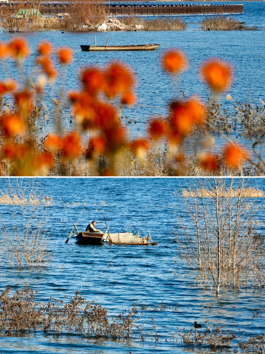 骗你去——河北邯郸2024.12.22