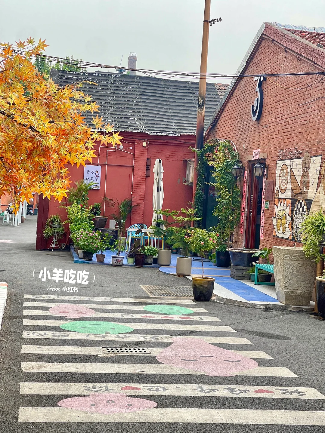 有一种不在邯郸的美（不是）……