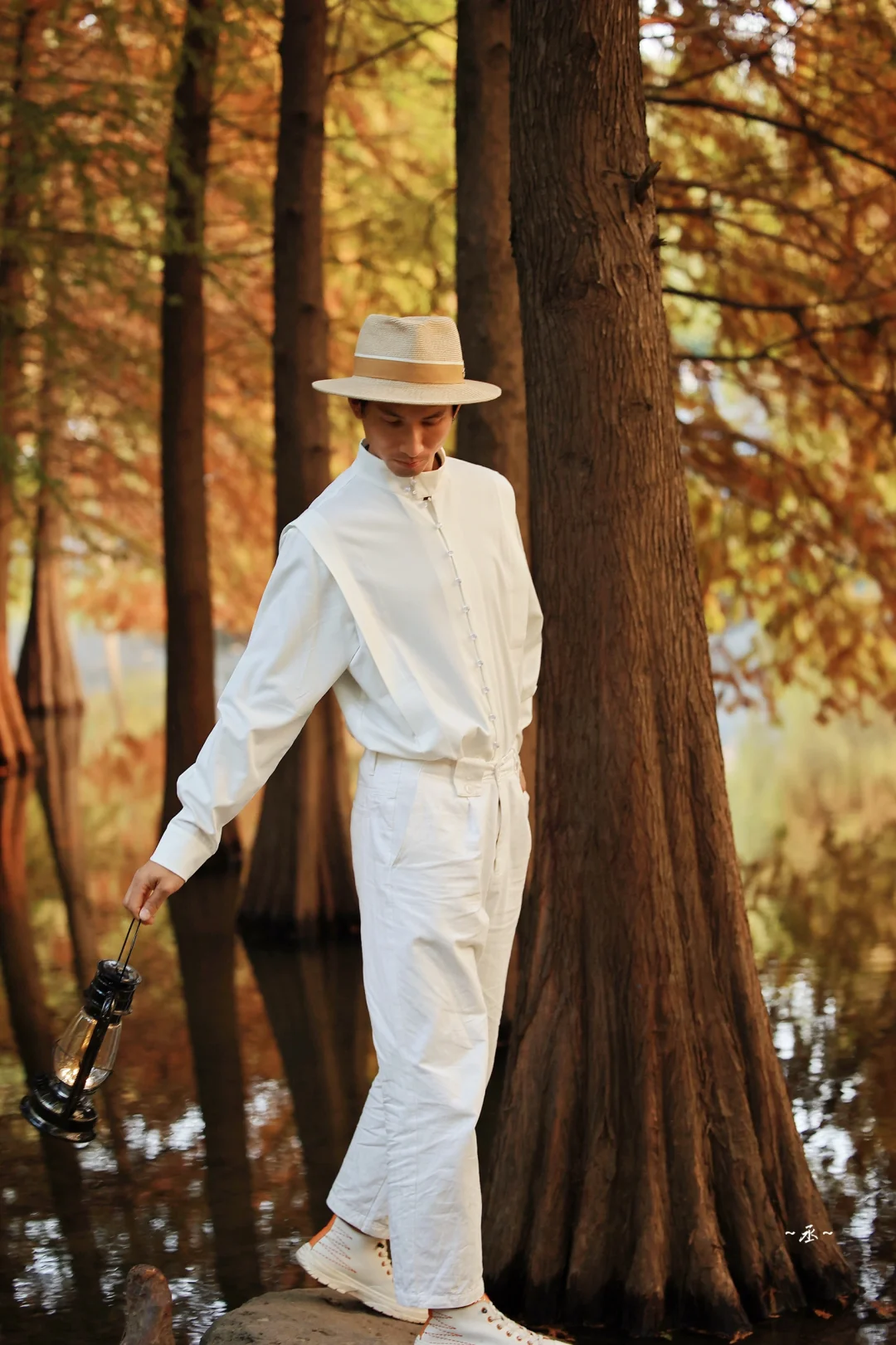 📸🌲🍂✨ 【 明孝陵燕雀湖·落羽杉 】