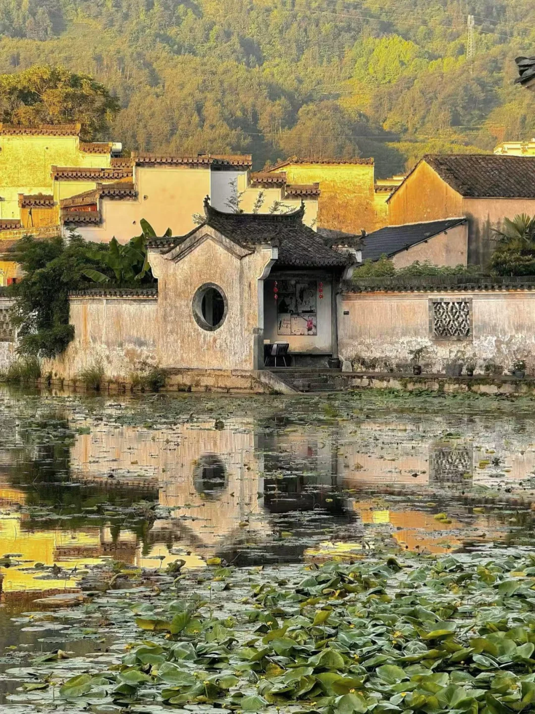 后悔没早点来徽州,小红书跟风最成功的一次
