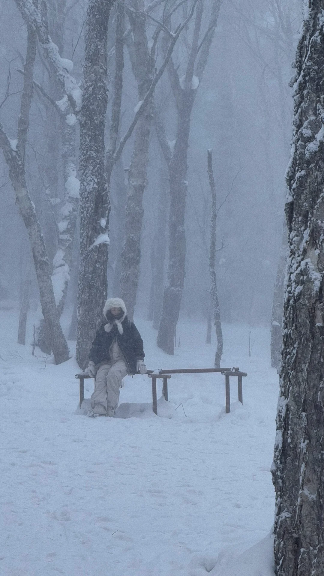 ❄️一篇看懂雪岭和老里克湖怎么选