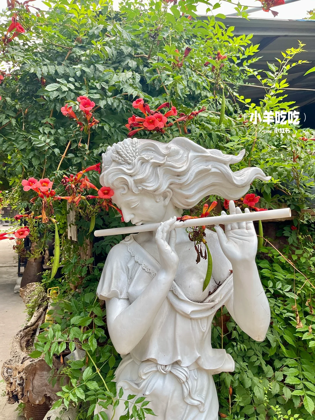 有一种不在邯郸的美（不是）……