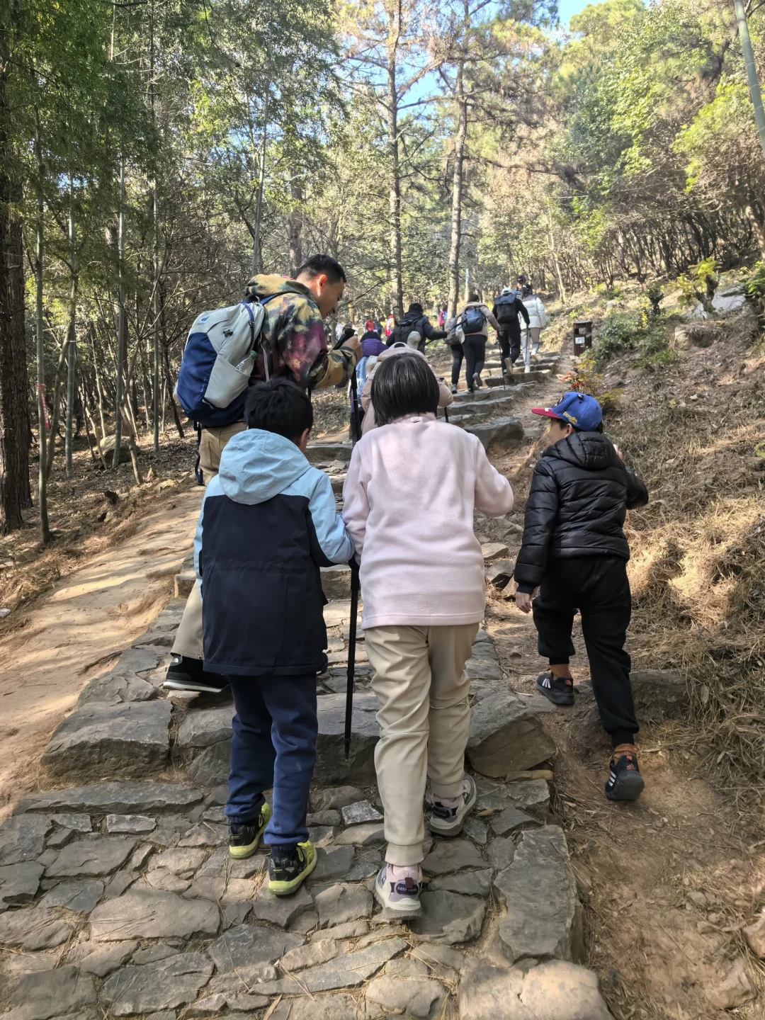 难度系数超低的亲子户外行动|旺山徒步2025