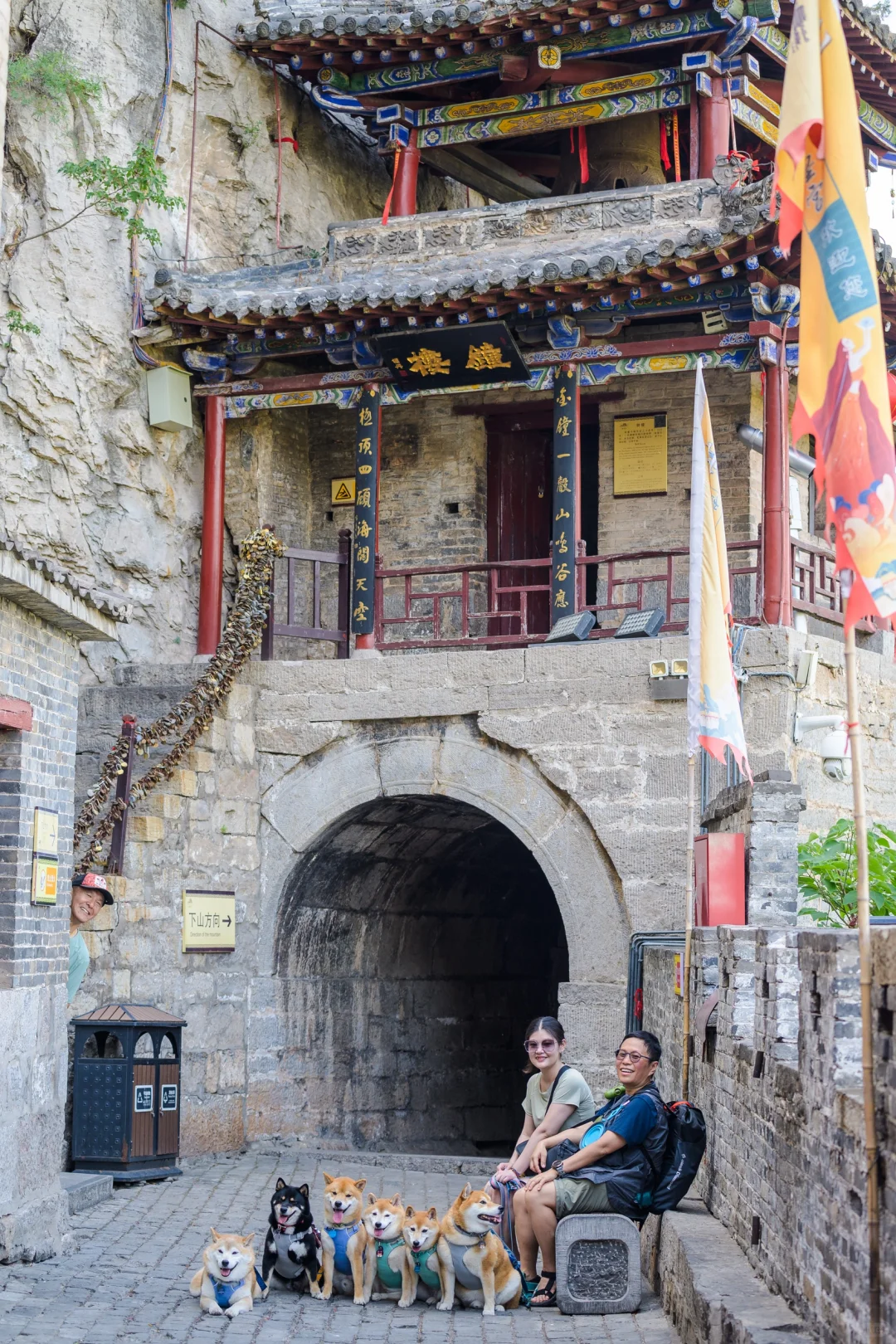 小狗们的仙剑奇侠传|宠物友好5A景区|邯郸