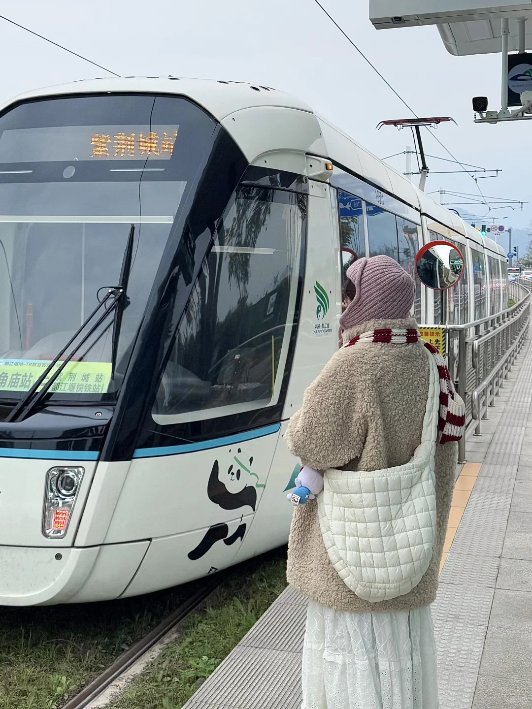 四川！都江堰！熊猫🐼电车🚇，10r直达富士山⛰️