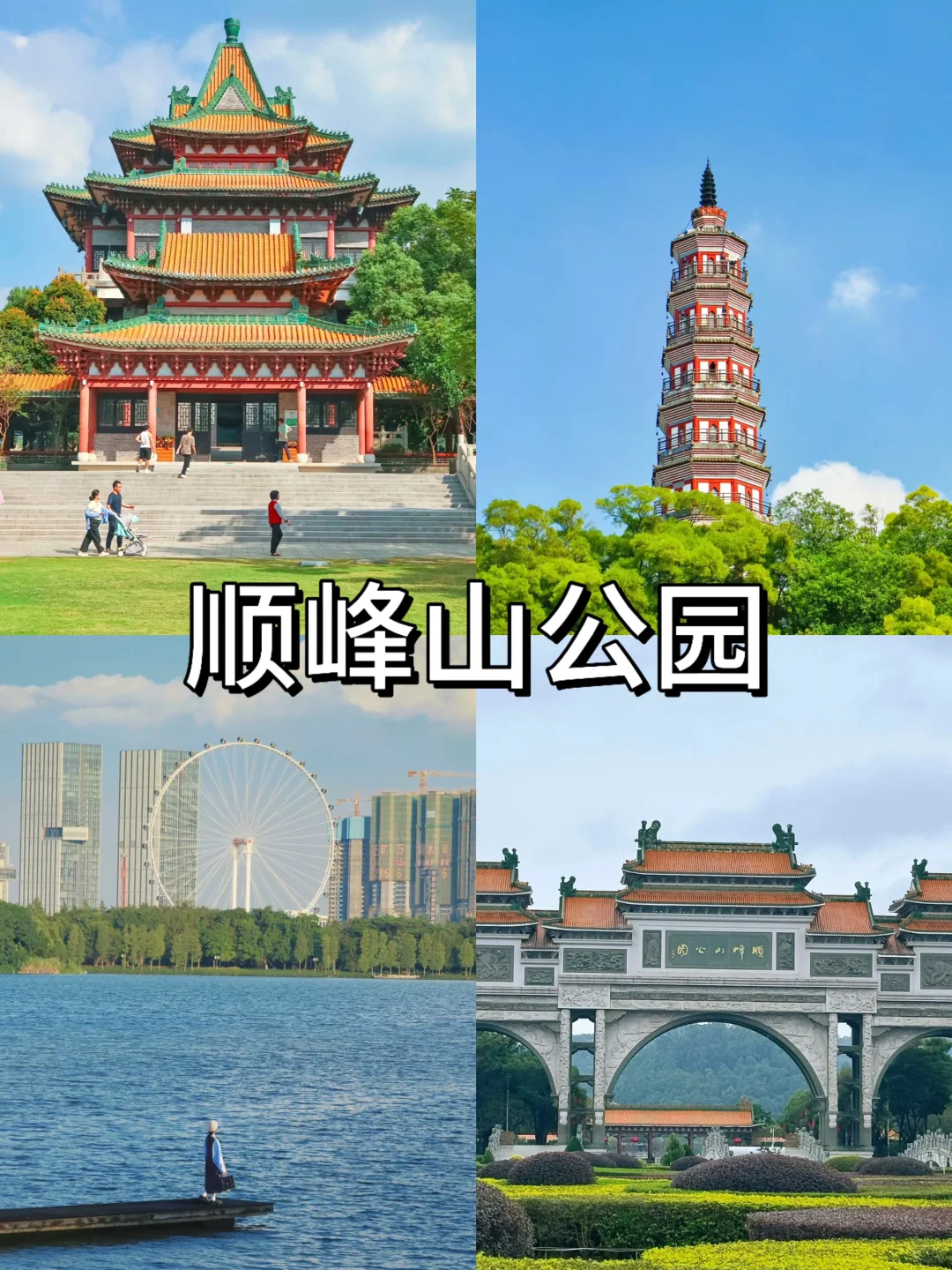 顺德一日游🏝！！本地人爆推🔥必打卡景点！！