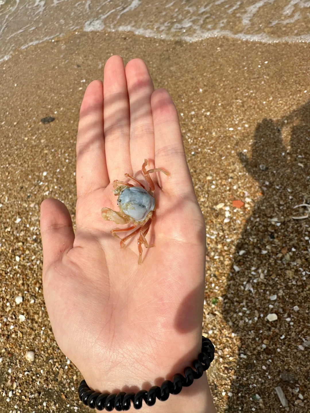 北海实况！崩溃预警，12-2月来的😭姐妹听劝