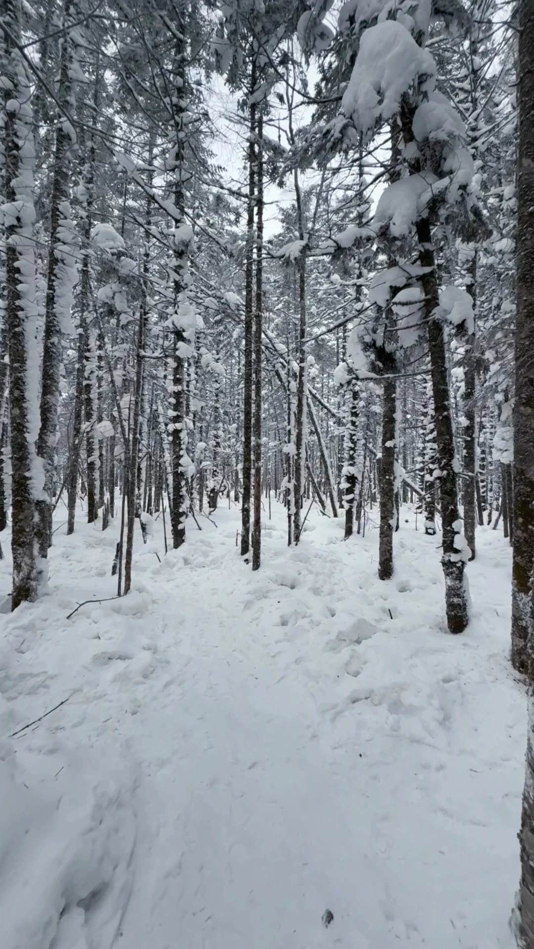 ❄️一篇看懂雪岭和老里克湖怎么选