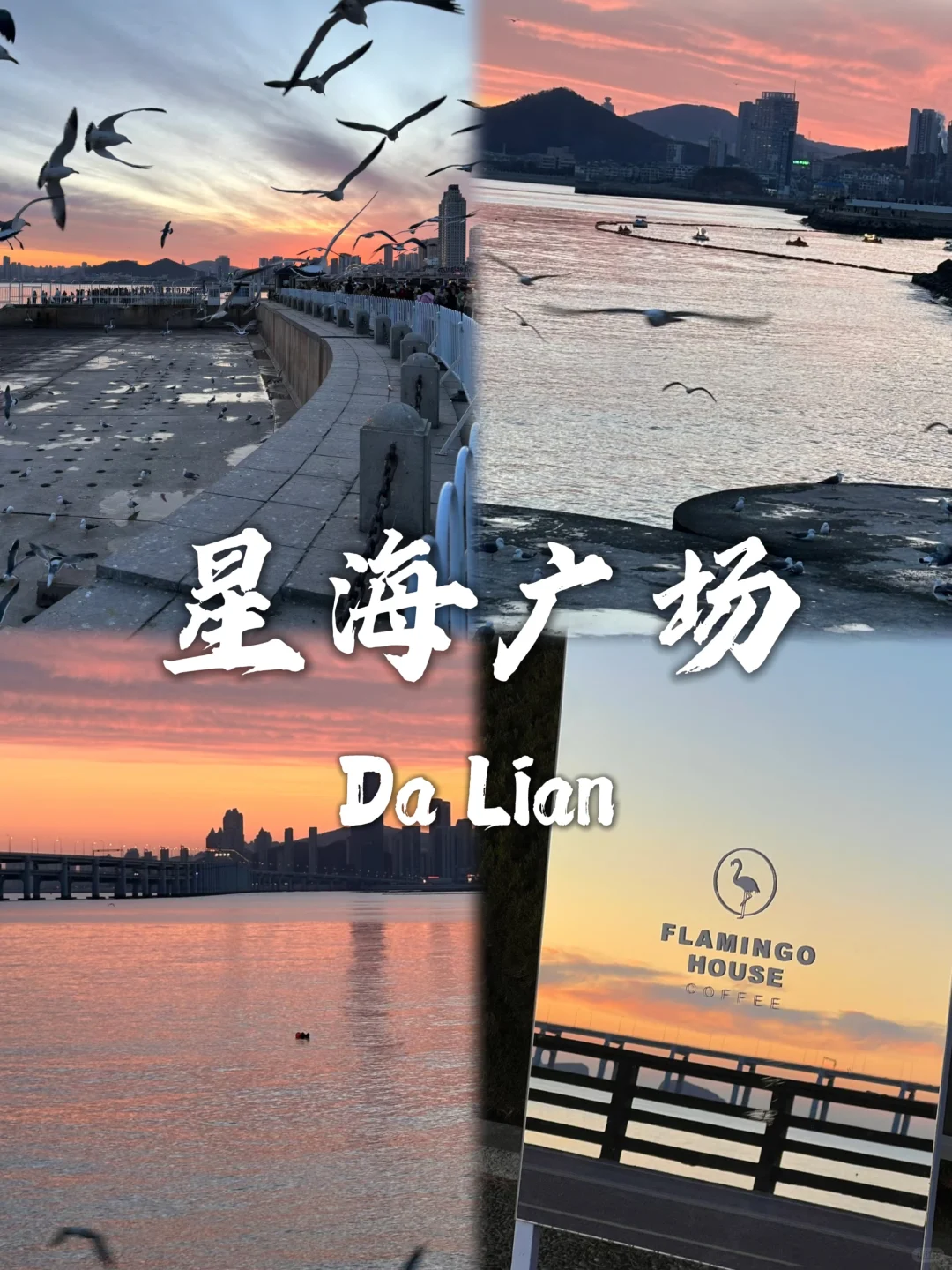 大连必打卡的九个景点❗❗