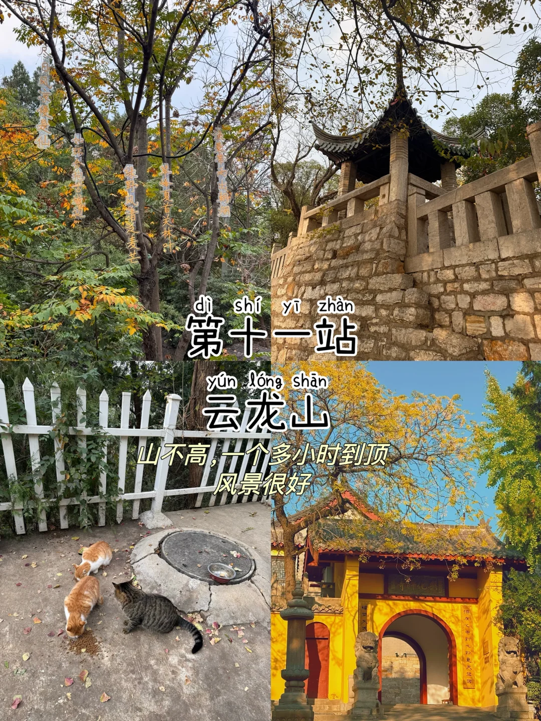 徐州📍两天一夜，不废腿版保姆级逛吃攻略‼️