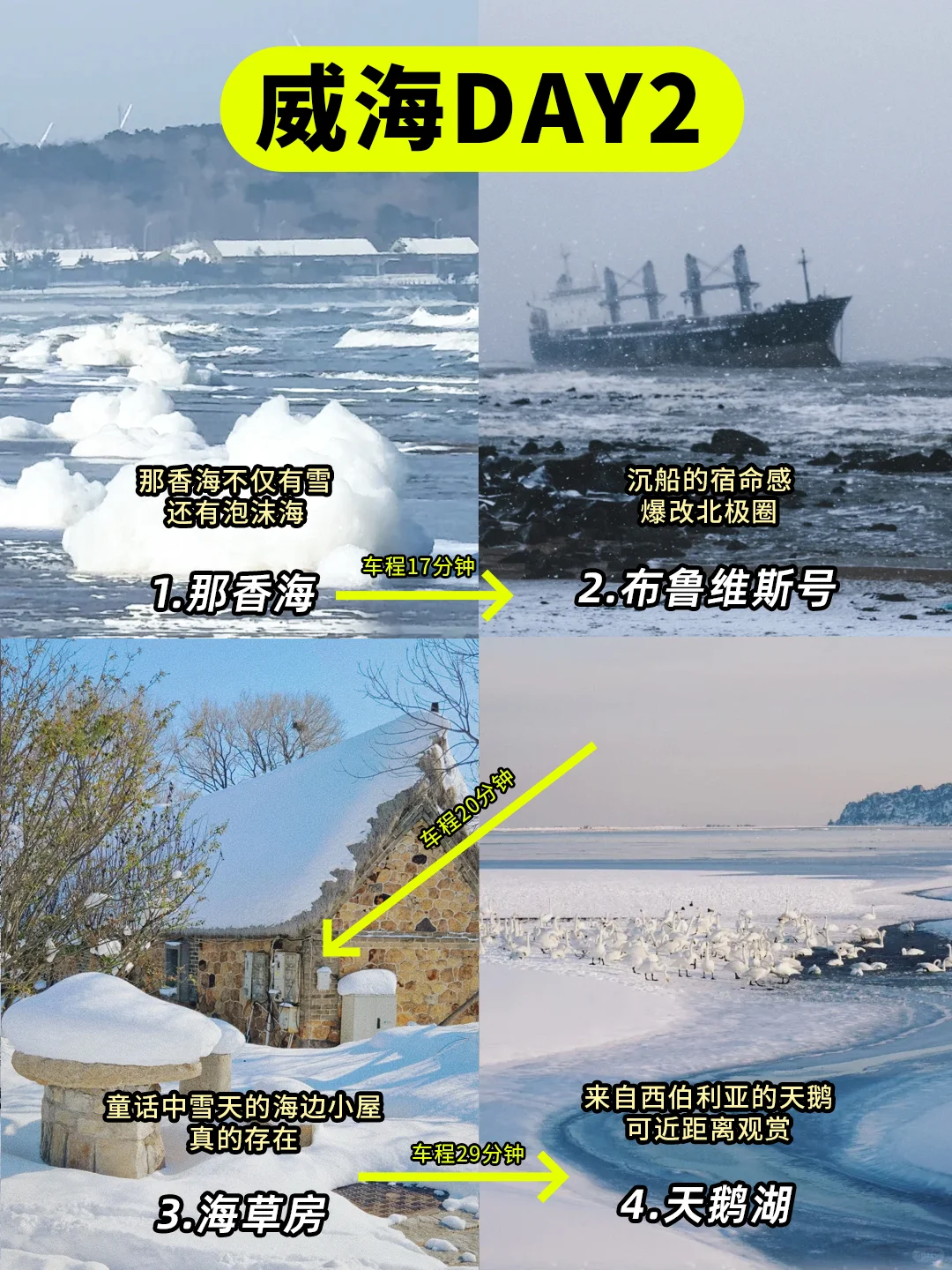 写给12-2月去威海看雪的姐妹！超全攻略👇