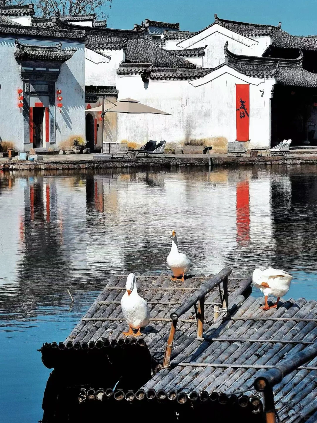 后悔没早点来徽州,小红书跟风最成功的一次