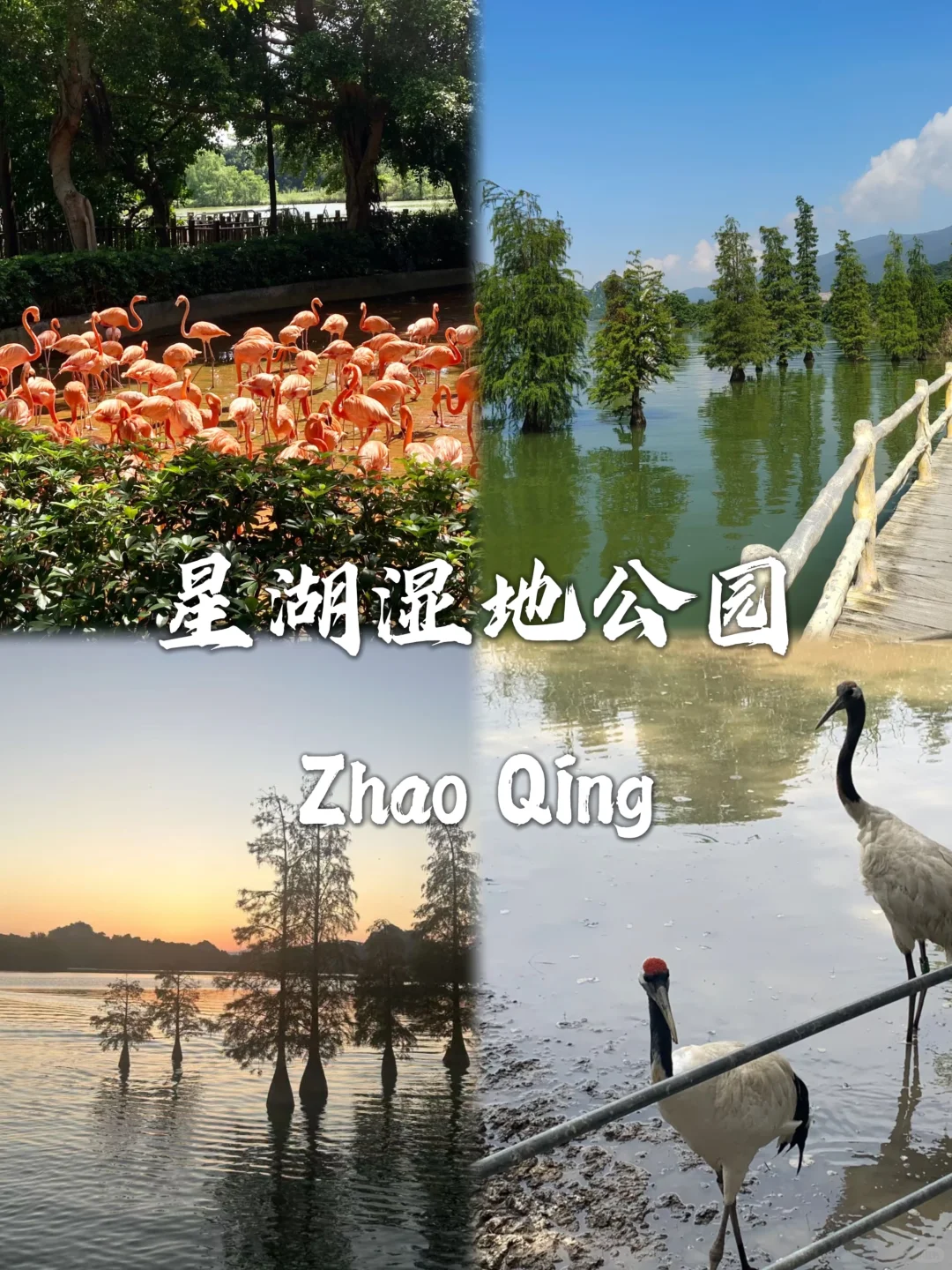 肇庆九大必去景点~