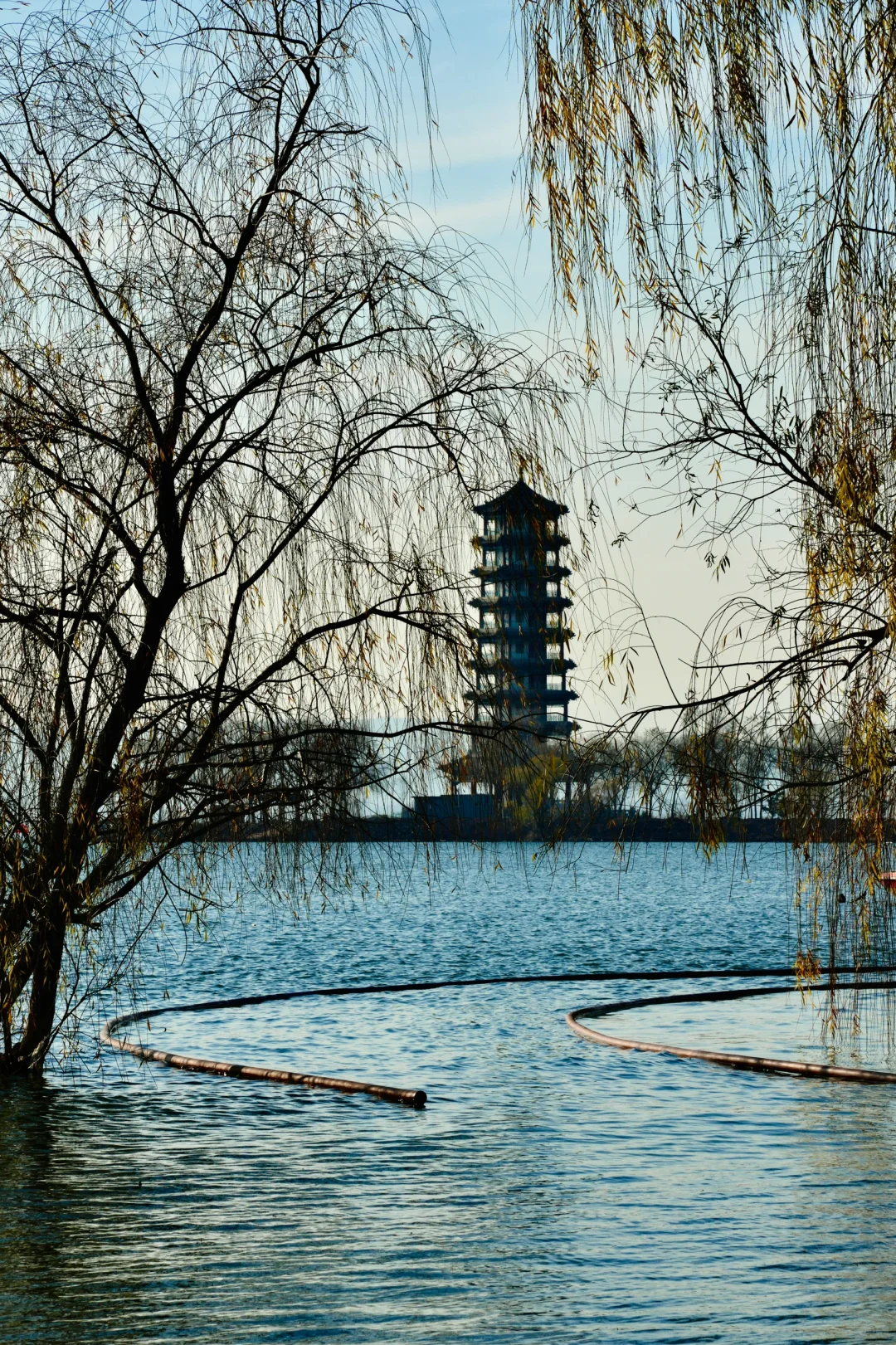 骗你去——河北邯郸2024.12.22