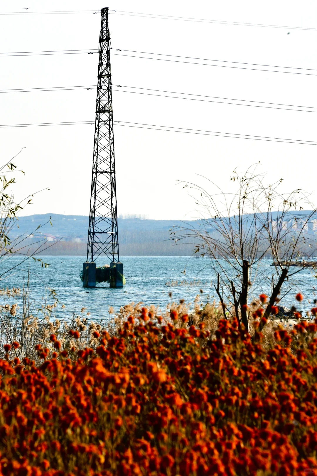 骗你去——河北邯郸2024.12.22