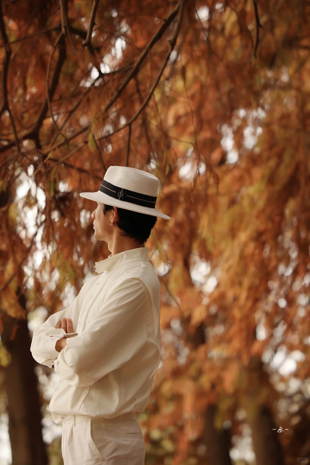 📸🌲🍂✨ 【 明孝陵燕雀湖·落羽杉 】