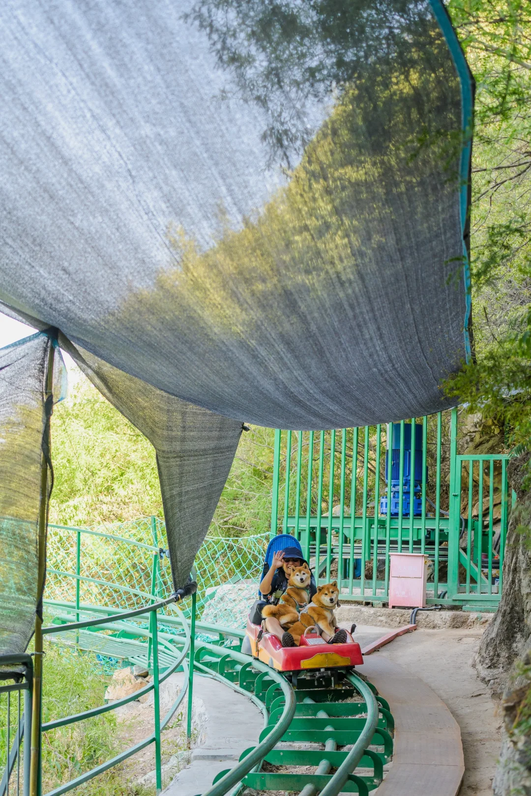 小狗们的仙剑奇侠传|宠物友好5A景区|邯郸