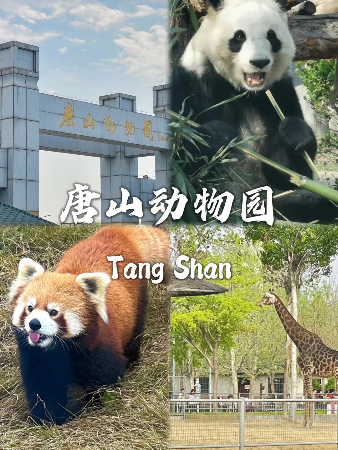 唐山必去九大景点❗❗