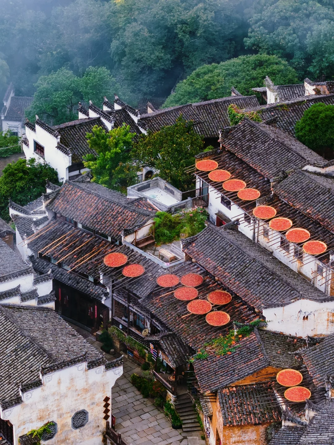 迄今为止，江西我最喜欢的旅行地出现了‼️