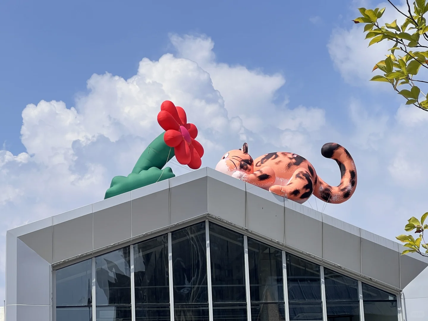 安徽两日旅游攻略❗️❗️❗️