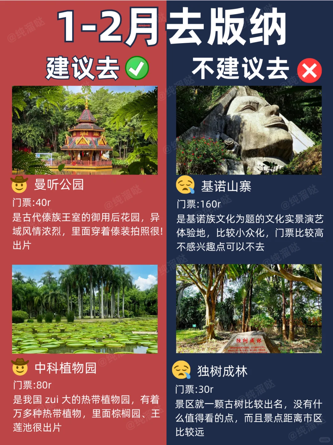 版纳景点红黑榜📍建议去🆚不建议去🔥