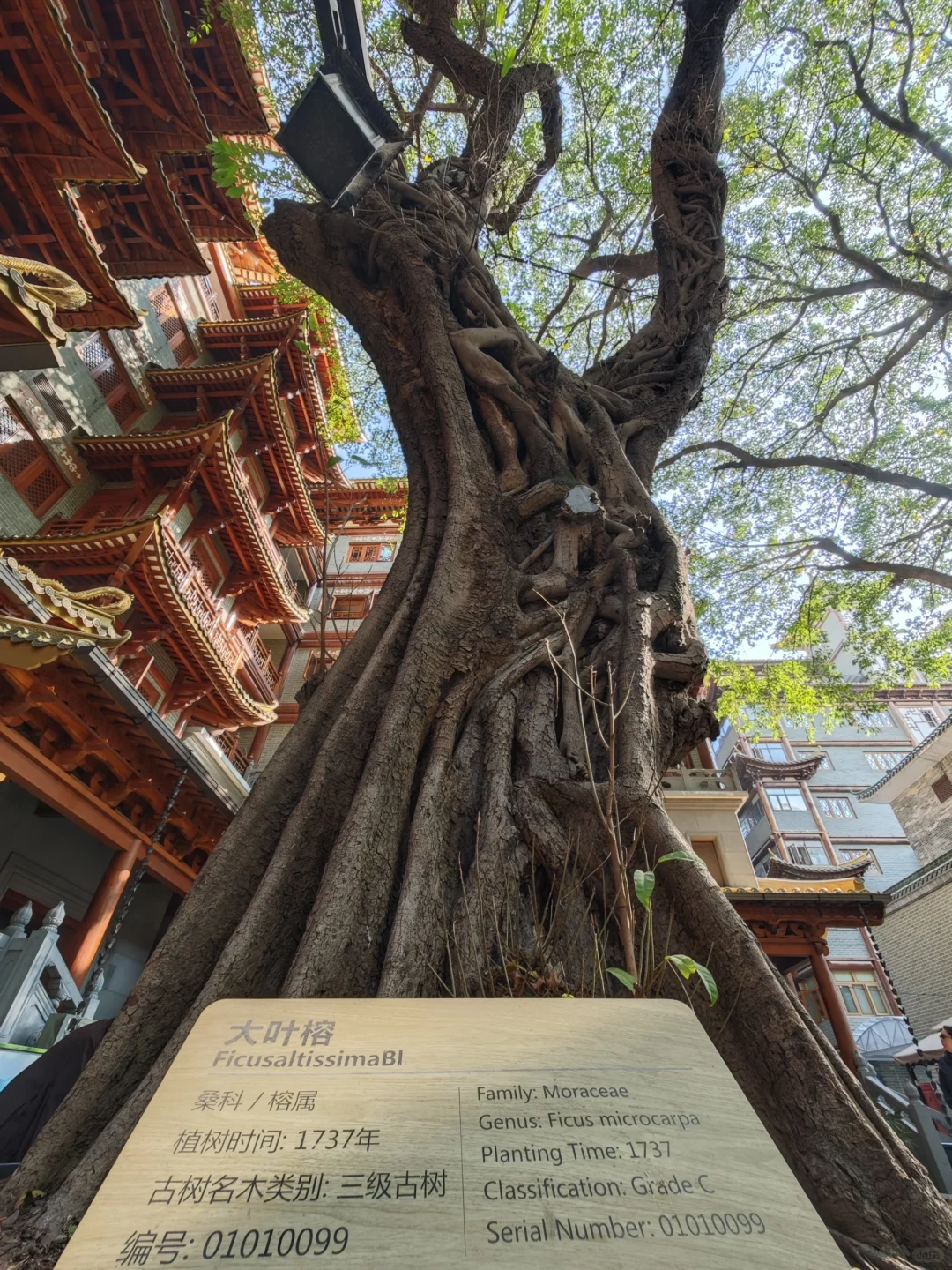 广州5天4晚自由行 | Day 2