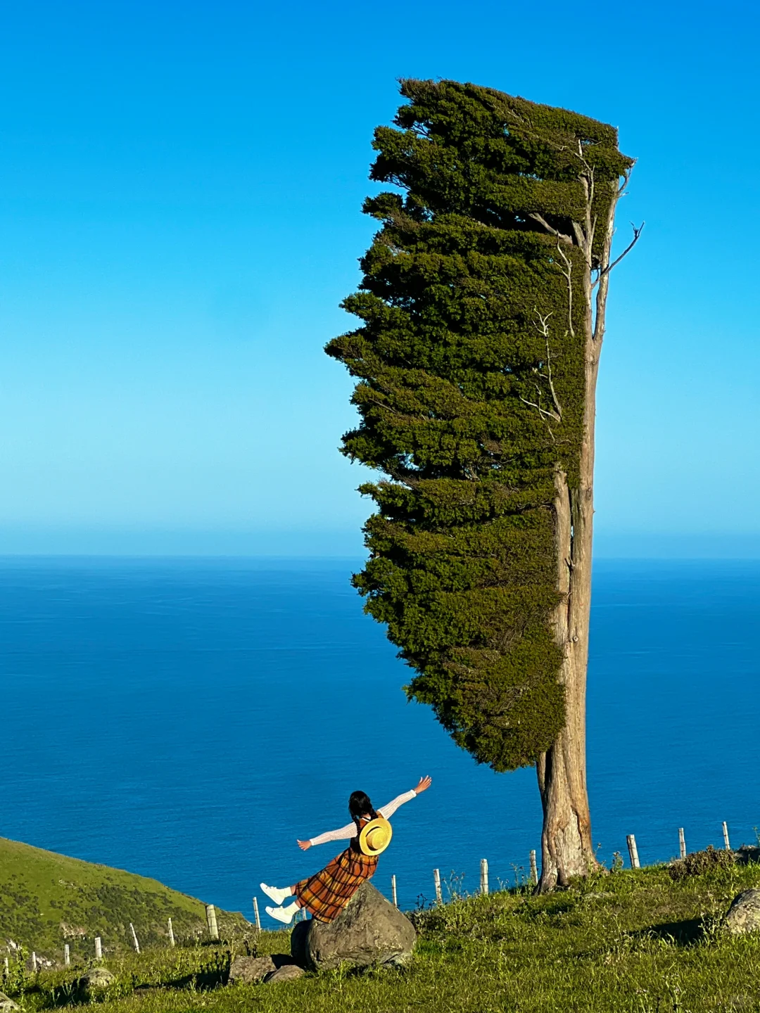 新西兰🌳🌈🦌去没有天花板的地方尽情吸氧🫠