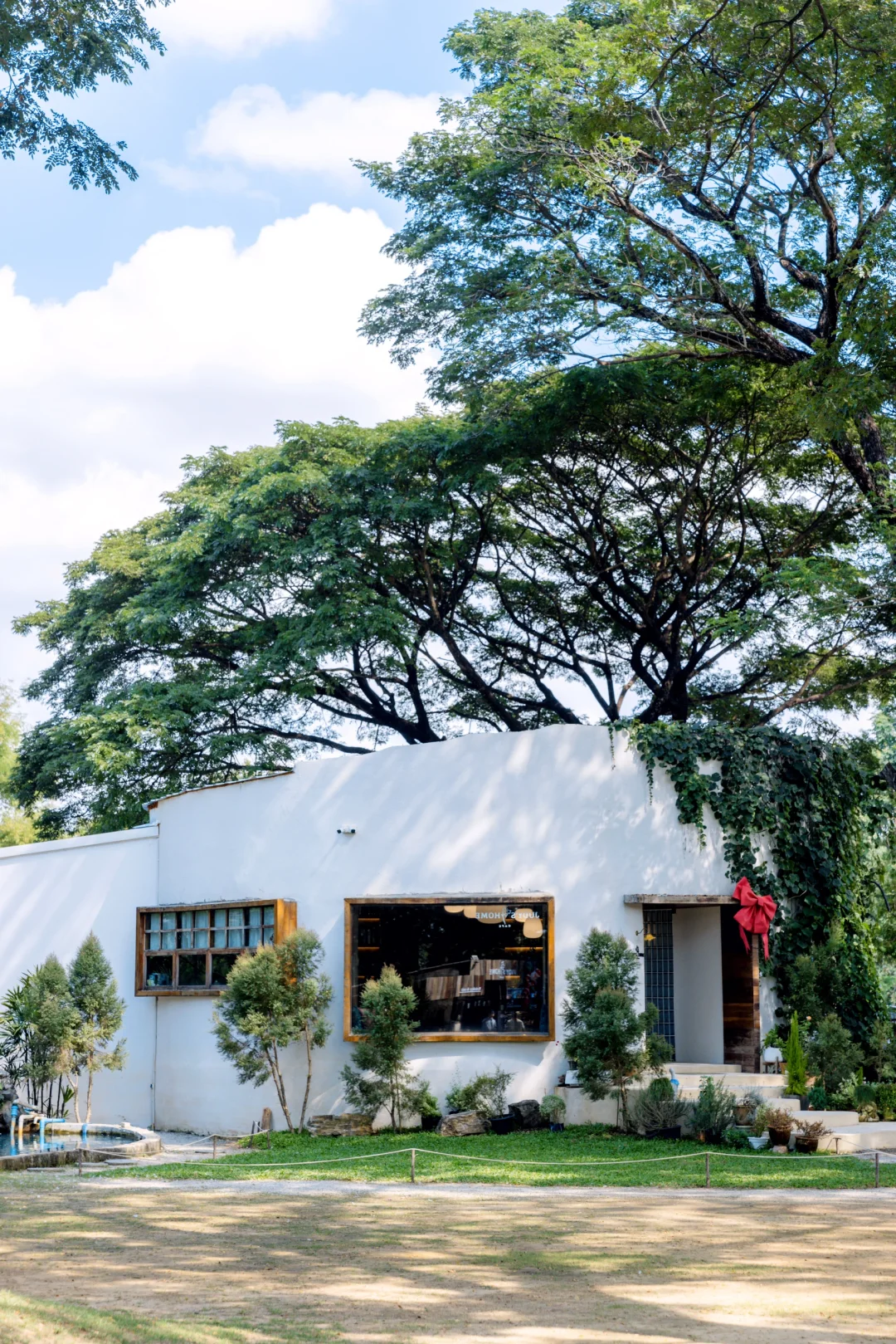 清迈刚回，对自己的旅游攻略满意到睡不着🤣